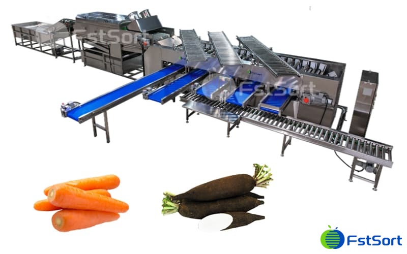images/1700206954523carrot processing line.jpg